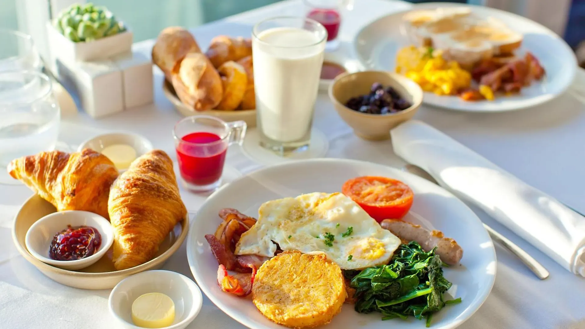 Hotel Tark A Family Hotel Near Igi Airport Delhi New Delhi